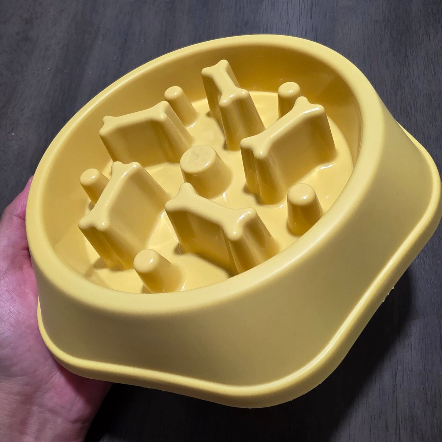 Gamelle Anti-Glouton