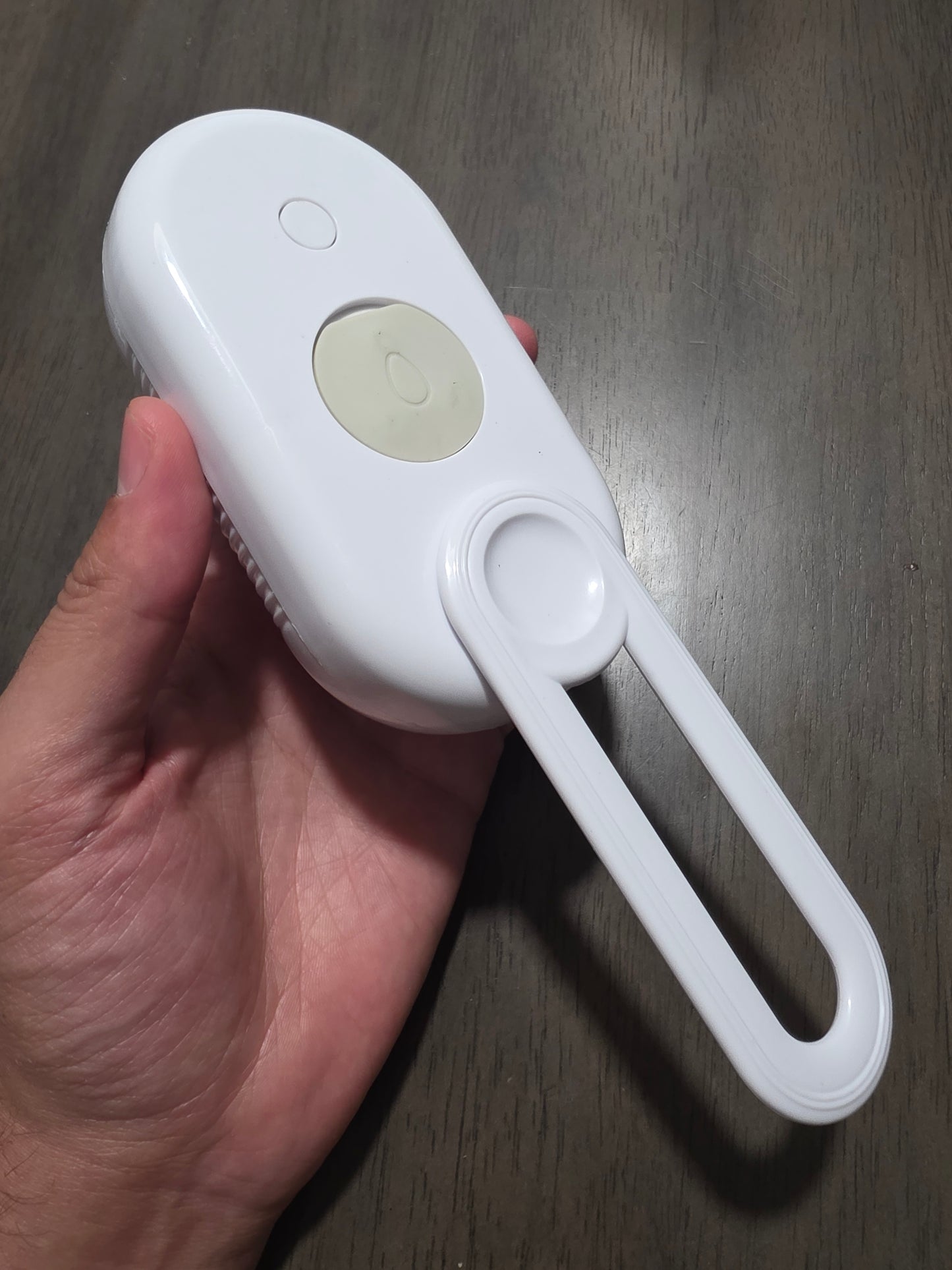 Brosse Auto-Nettoyante Rechargeable