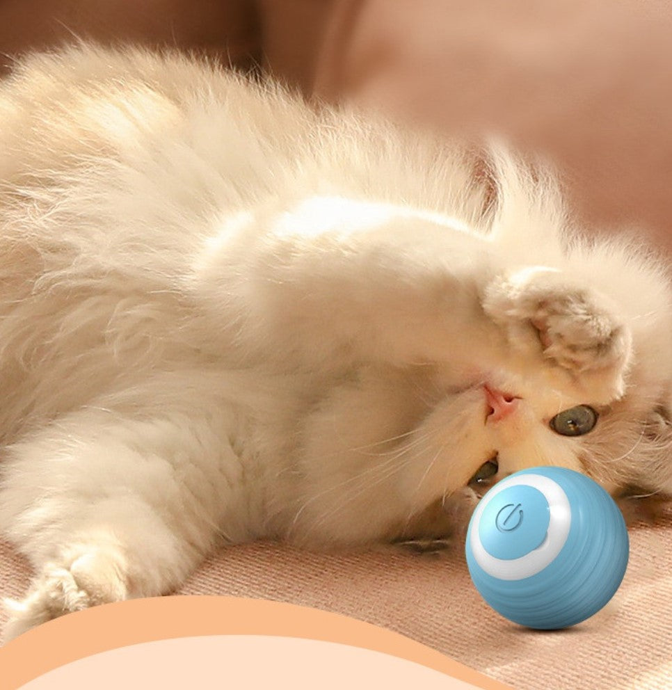 Balle interactive pour chat