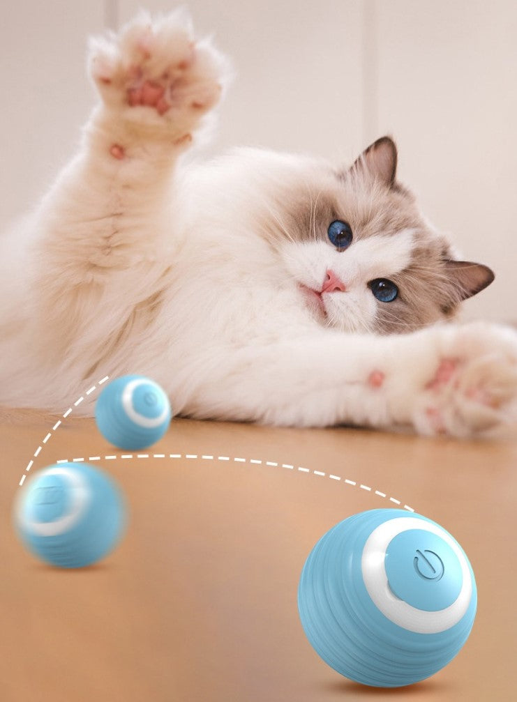 Balle interactive pour chat
